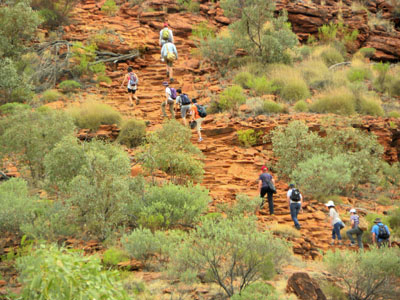 LOXLjI Kings Canyon Work NT