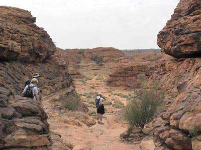 LOXLjI Kings Canyon Work NT