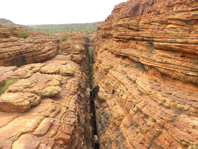 LOXLjI Kings Canyon Work NT