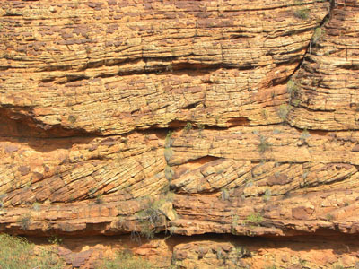 LOXLjI Kings Canyon Work NT